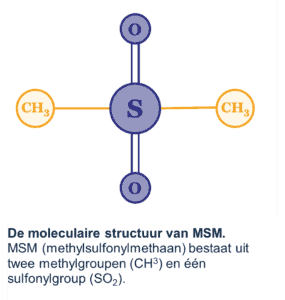 OptiMSM® Poeder 10 De moleculaire structuur van MSM.