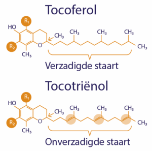 De chemische verbindingen van tocoferol en tocotriënol