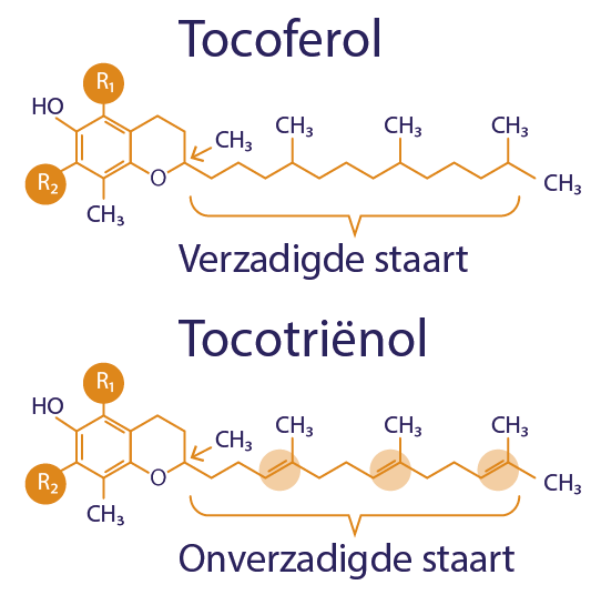 De chemische verbindingen van tocoferol en tocotriënol